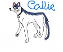 Callie for Tadie
