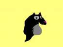 Black wolf