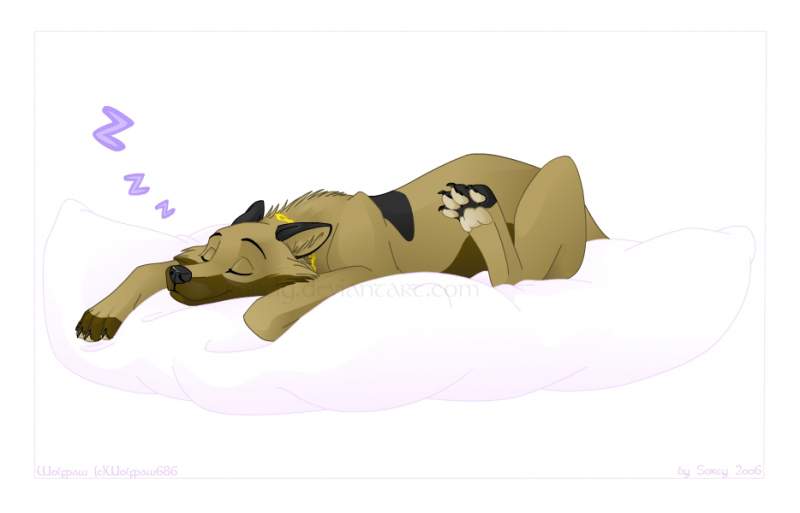 Sweet dreams
