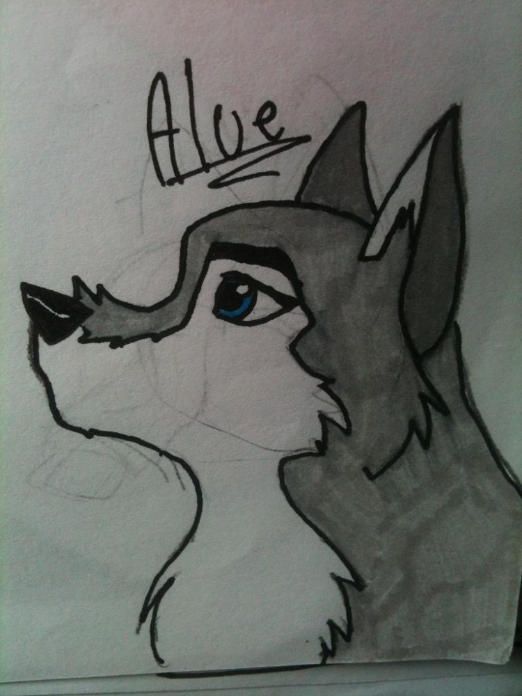 My first drawing Aleu