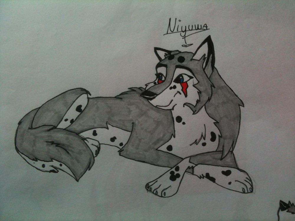  fantasy wolf 