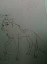 Timon as a wolf