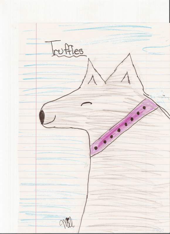 Truffles