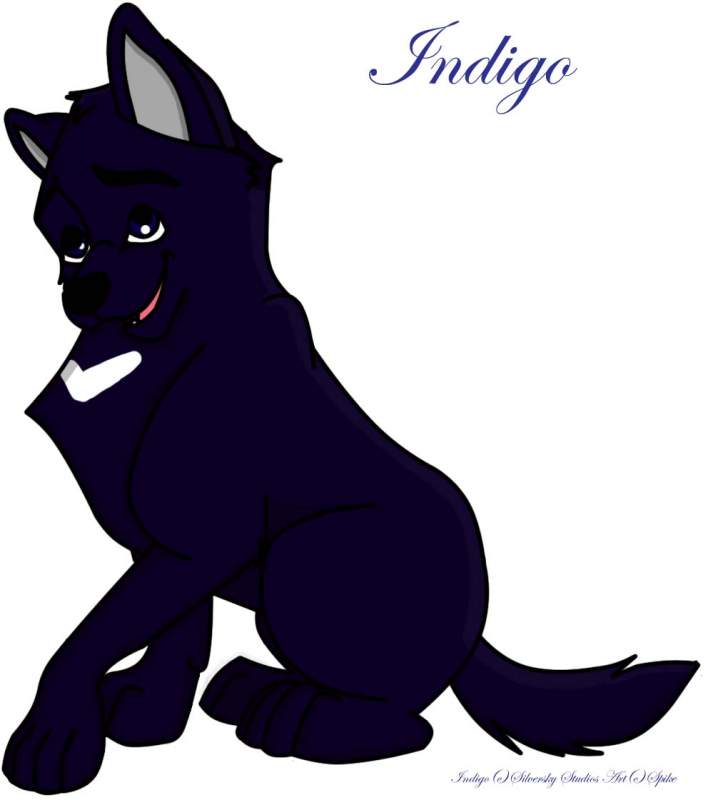 Indigo from Wolf