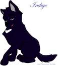 Indigo from Wolf