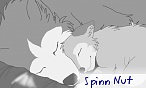 Spin Nutt