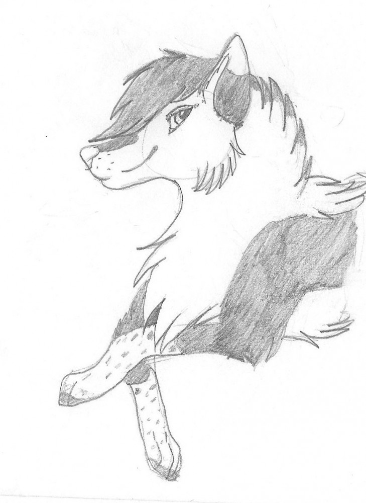 Spinner Sketch