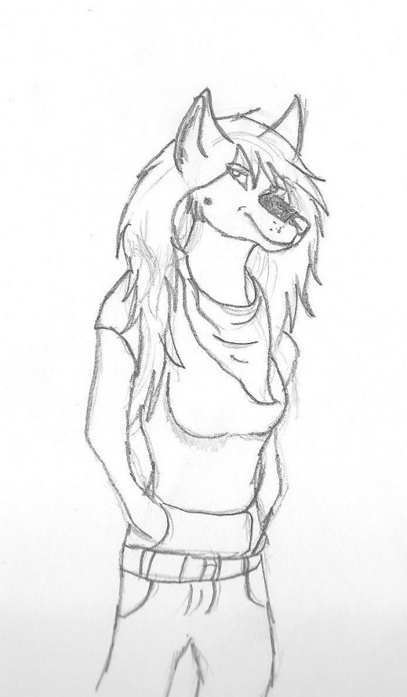 Humanwolf Practice