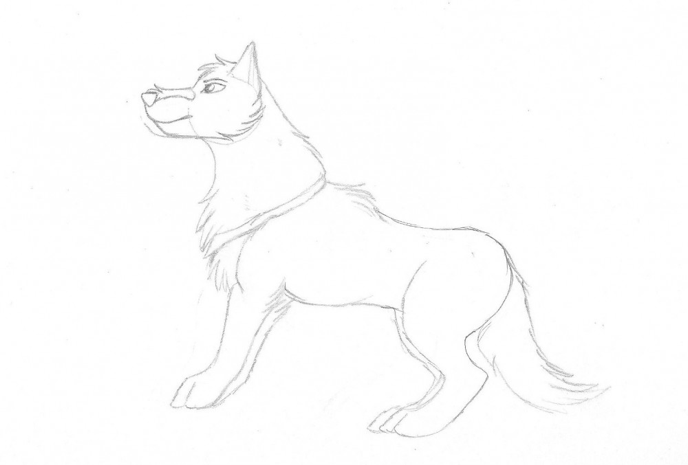 Balto (Unmarked and Uncolored)