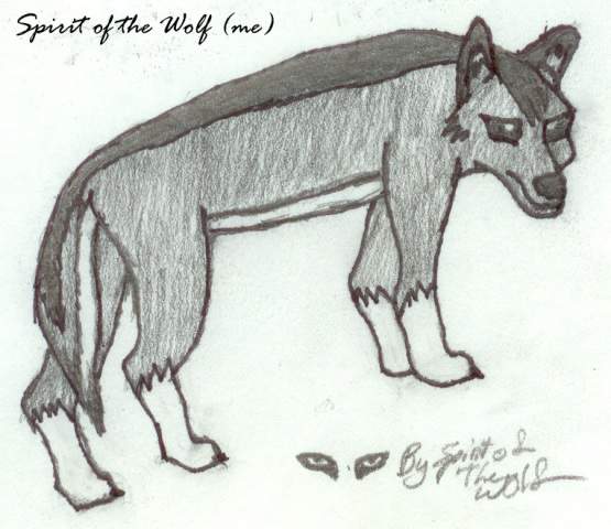 Spirit