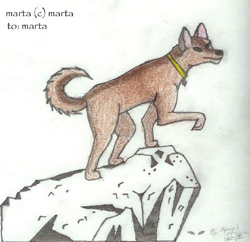 Marta