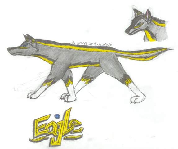 Eagle