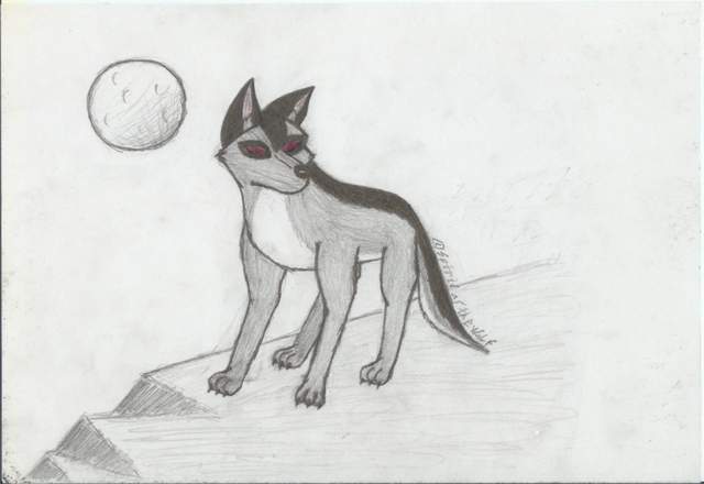 Spirit under a full moon...