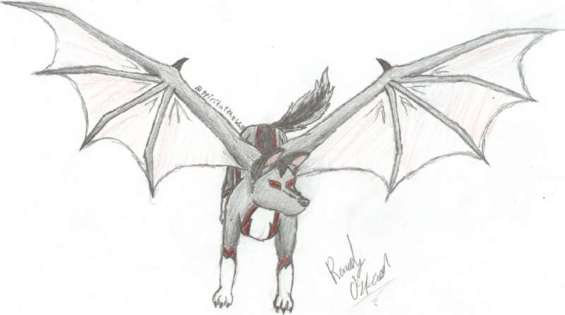 Spirit / Nightshade
