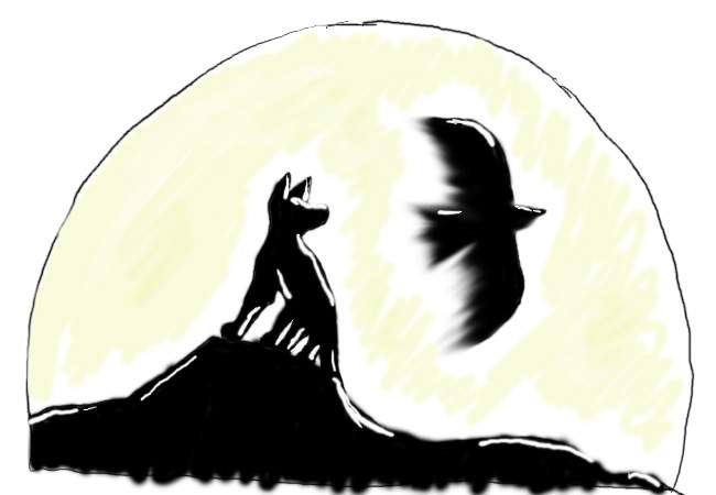 Shadow of the Night