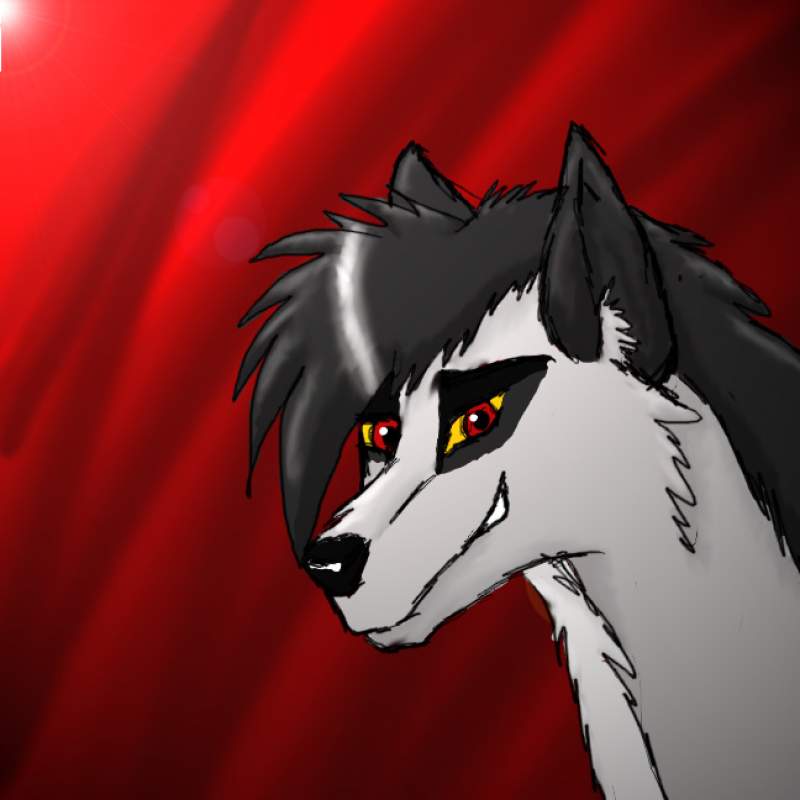 Spirit Avi