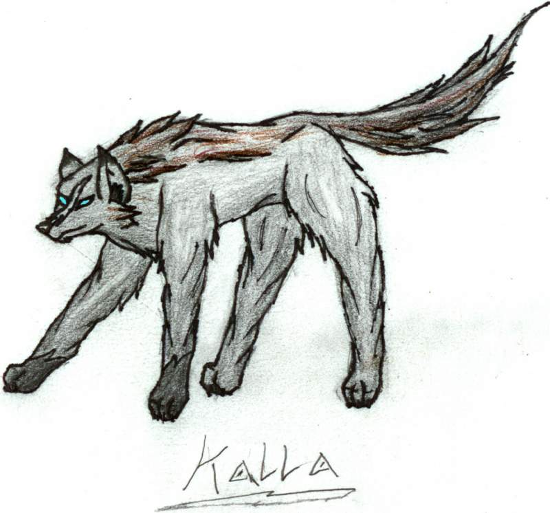 Kalla