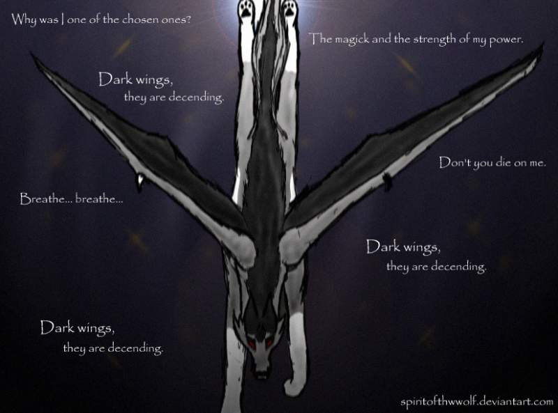 Dark Wings