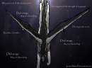 Dark Wings