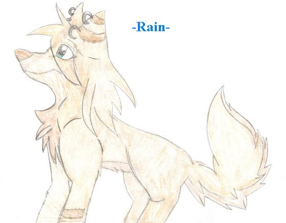 -Rain-