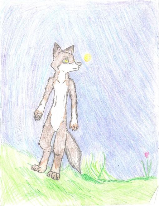 -Trying out Anthro-Style Wolves!-