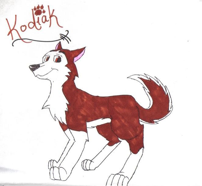 -Kodi (Scanned)-