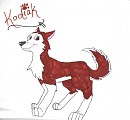 -Kodi (Scanned)-