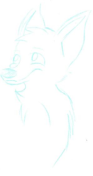 -Random Wolf Sketch-
