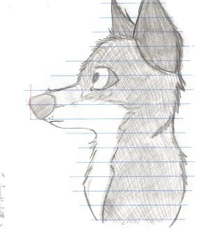 Random Wolf Sketch