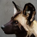 Avatar Wolf Comic Pg.3
