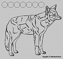 Xienga Ref Sheet 09