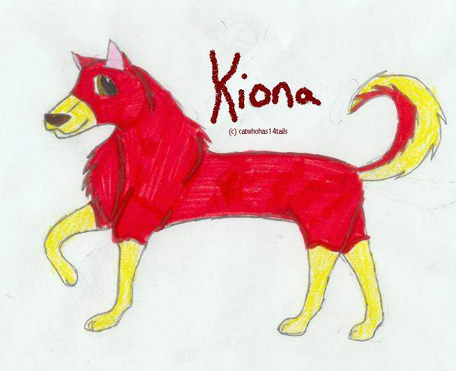 Kiona for Cat