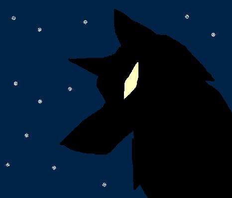 Random wolf