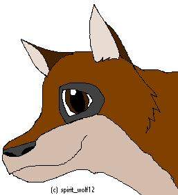 Random Wolf