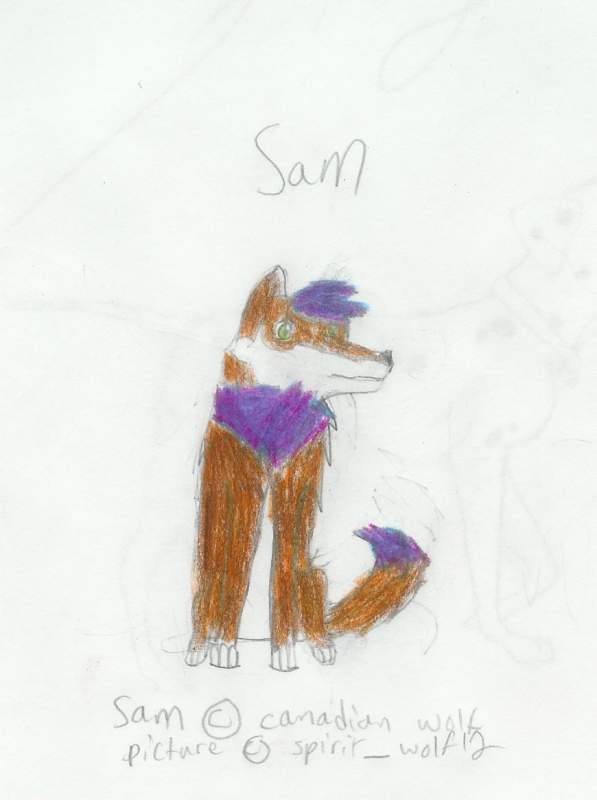 Sam