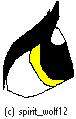 Eyebrow practice