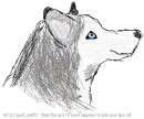 Paint Husky