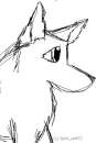 Random wolf