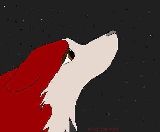 Jenna-Starry Night