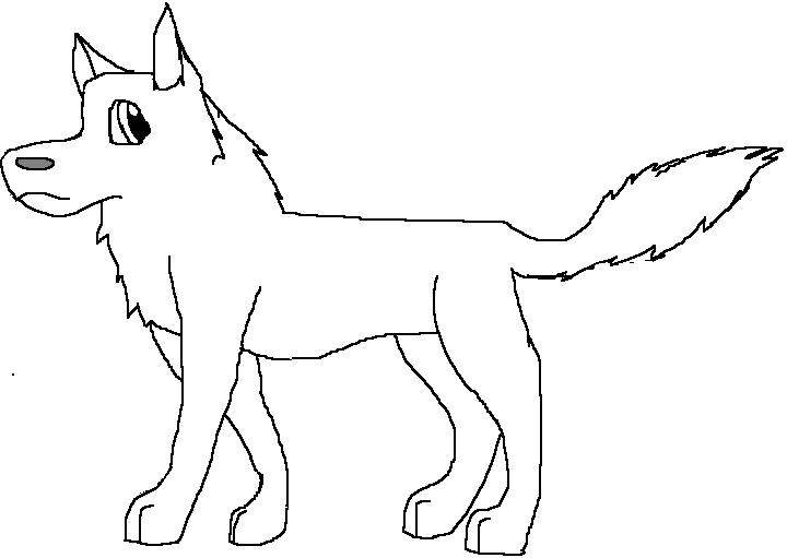 Random Wolf