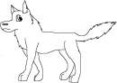 Random Wolf