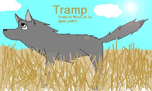 Tramp (Art Trade with Miracl)