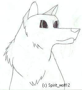 Another Wolf.