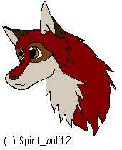 If Balto and Jenna had a second litter...