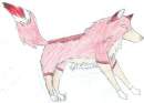 Nyka