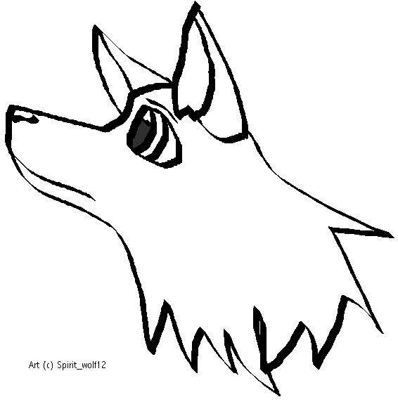 Random Doodle
