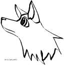 Random Doodle