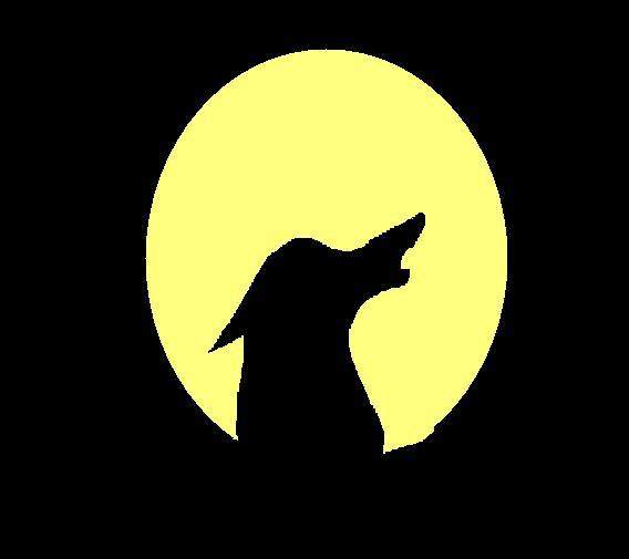 Halloween Pic