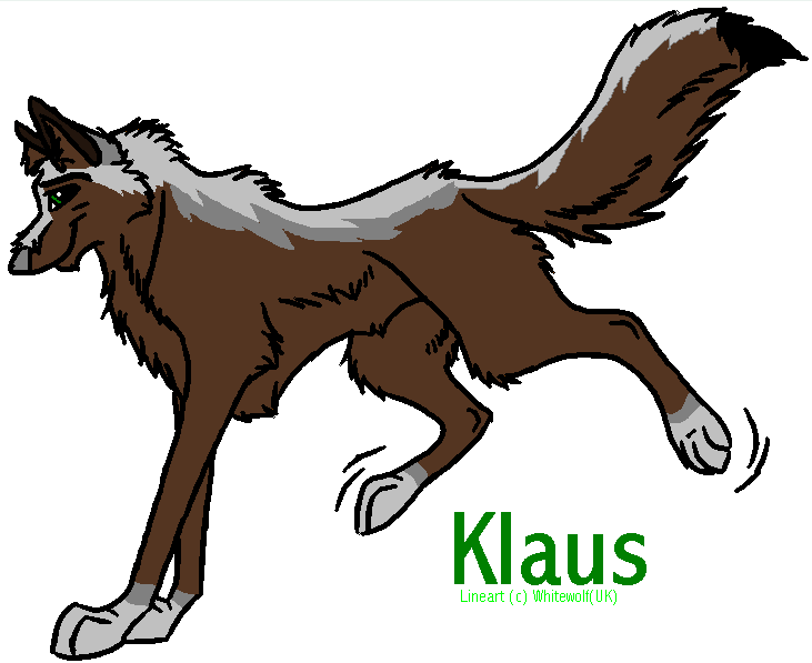 Klaus X3