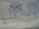 Balto iv storyboard kodi suprised  